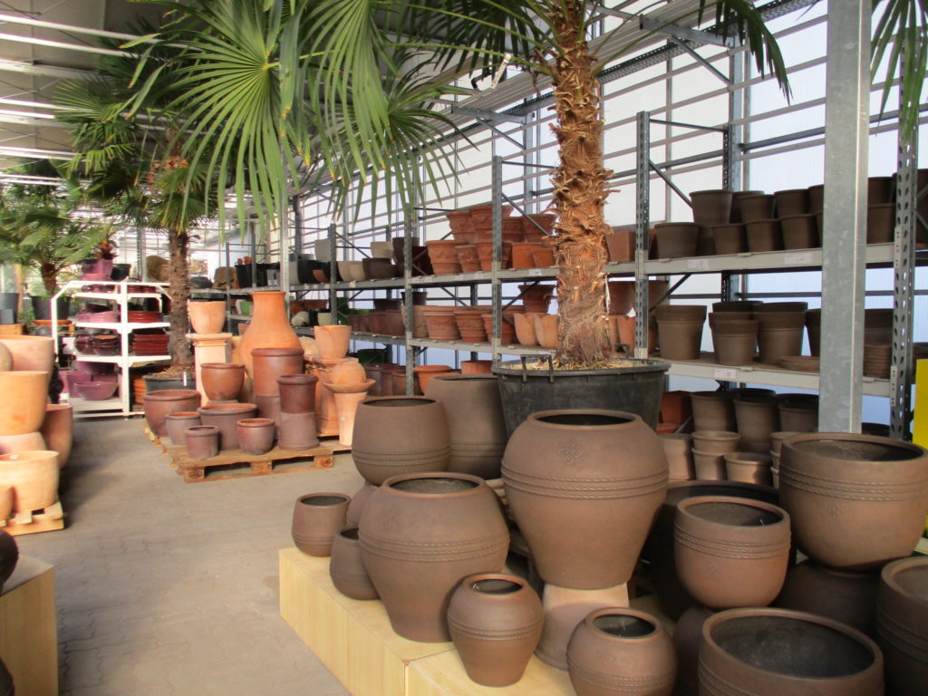 Pflanztöpfe mit Palme in der Kalthalle
